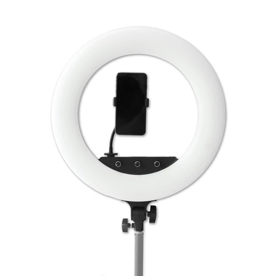 Caruba RGB Round Vlogger 18" LED Szett Tas vel Roze
