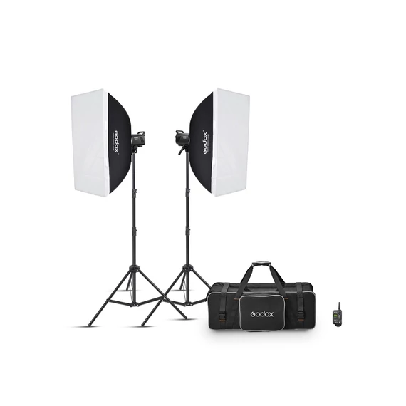 Godox MS200V-F Dual Studio Flash Kit