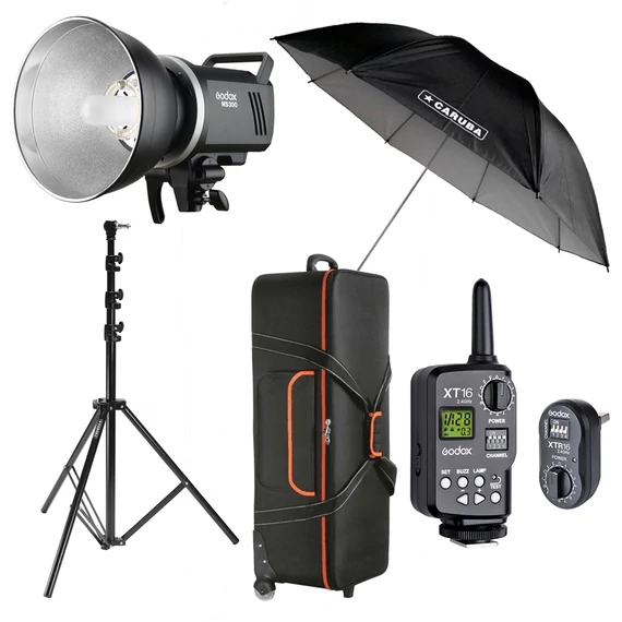 Godox MS300 umbrella kit