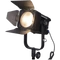 D300C 30W Bi-Color LED Fresnel With WiFi