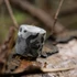 Kép 1/4 - Camouflage Wrap Tape 4 Szett Városi