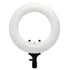 Kép 1/4 - Caruba Round Vlogger 12" LED Szett táskával fehér