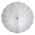 Kép 2/3 - Caruba Stúdióernyő Parabolic 165cm
