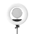Kép 3/4 - Caruba RGB Round Vlogger 18" LED Szett Tas vel Roze