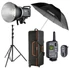 Kép 1/4 - Godox MS300 umbrella kit