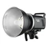 Kép 2/4 - GODOX MS300-D Kit