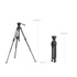 Kép 7/7 - SmallRig Lightweight Video Carbon Fiber Tripod Kit AD-50 Pro 4420